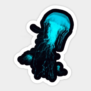 Bright Jellyfish Sticker